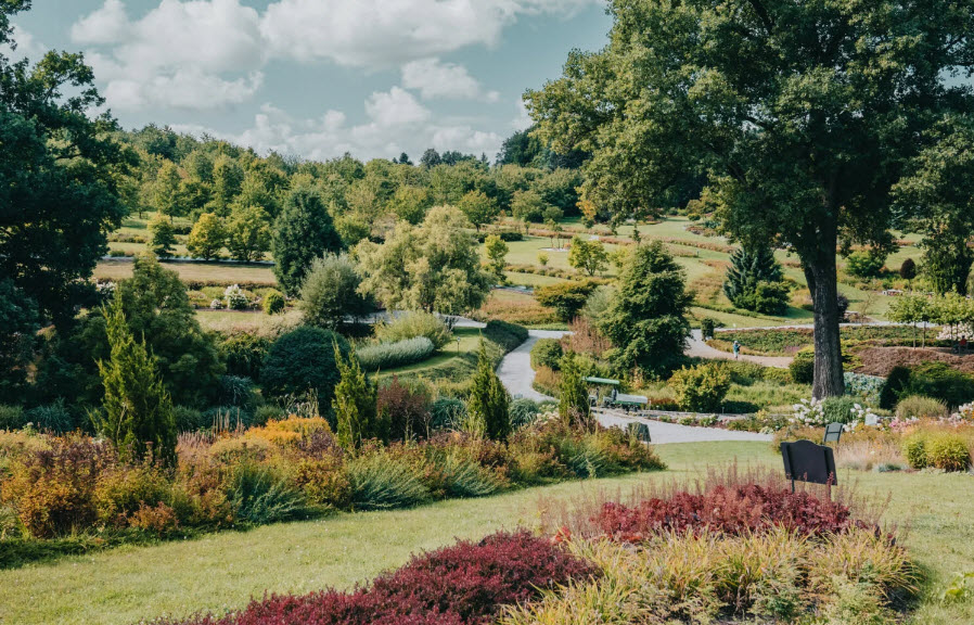 Arboretum Wojsławice, Poland
